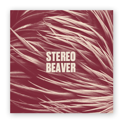 34 Mixes #6: Stereobeaver