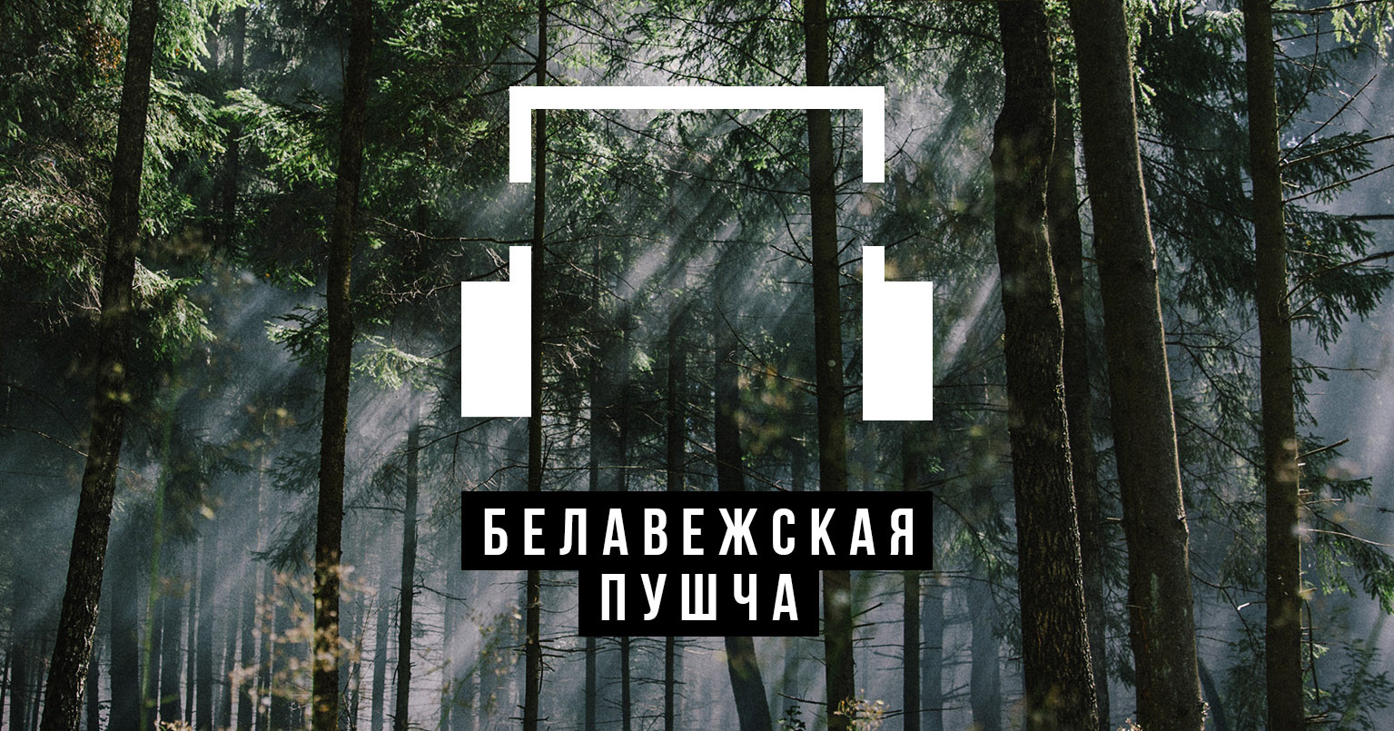 Белавежская пушча: аўдыягід