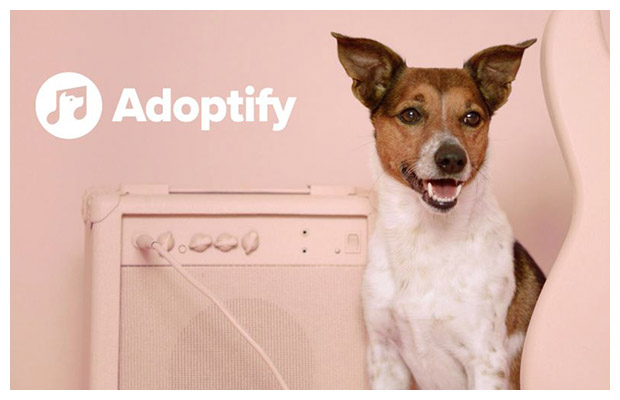 Spotify предлагает подобрать собаку по музыкальным предпочтениям