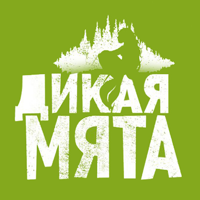 На фесте «Дикая мята» выступит четыре проекта из Беларуси