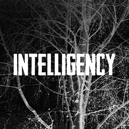 Intelligency выпустили первую часть альбома «Technoblues Therapy»